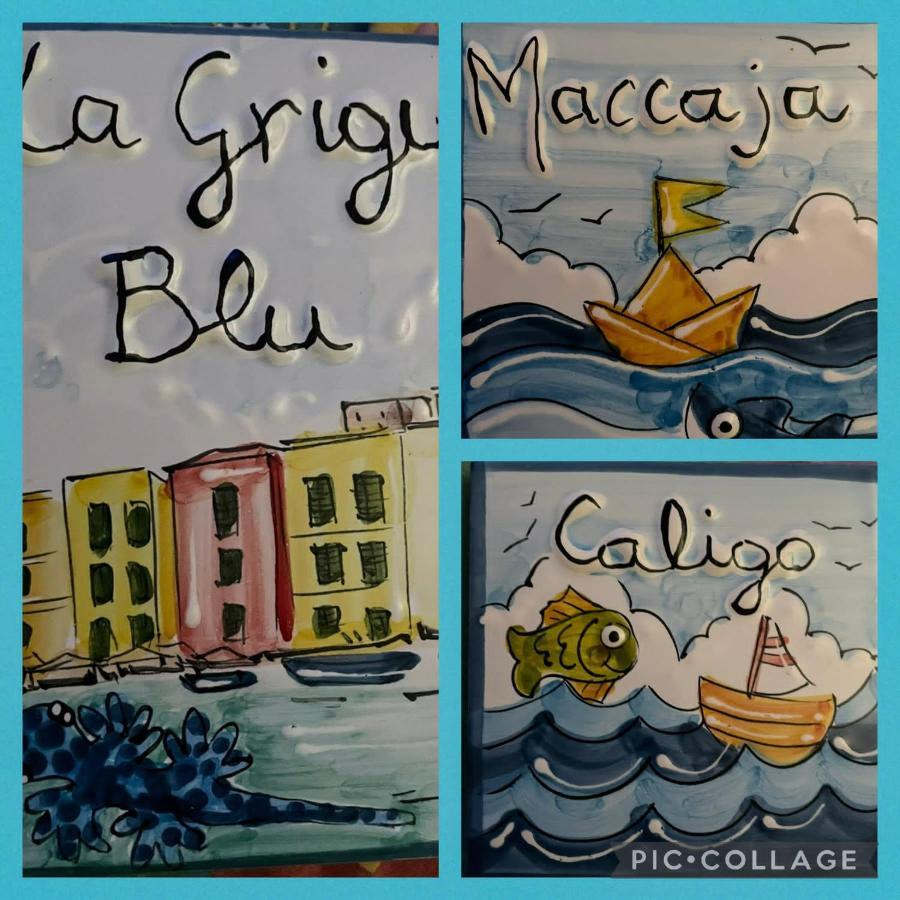 La Grigua Blu Lägenhet Riomaggiore Exteriör bild